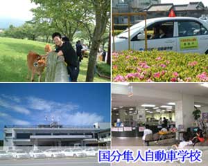 国分隼人自動車学校の教習所写真